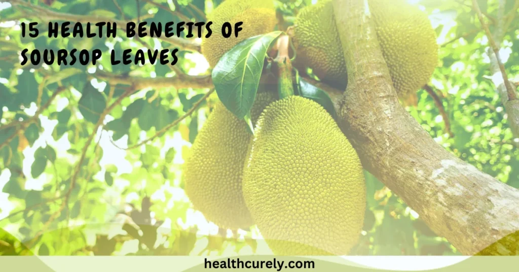 15 Health Benefits of Soursop Leaves and How They Help