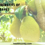 15 Health Benefits of Soursop Leaves and How They Help