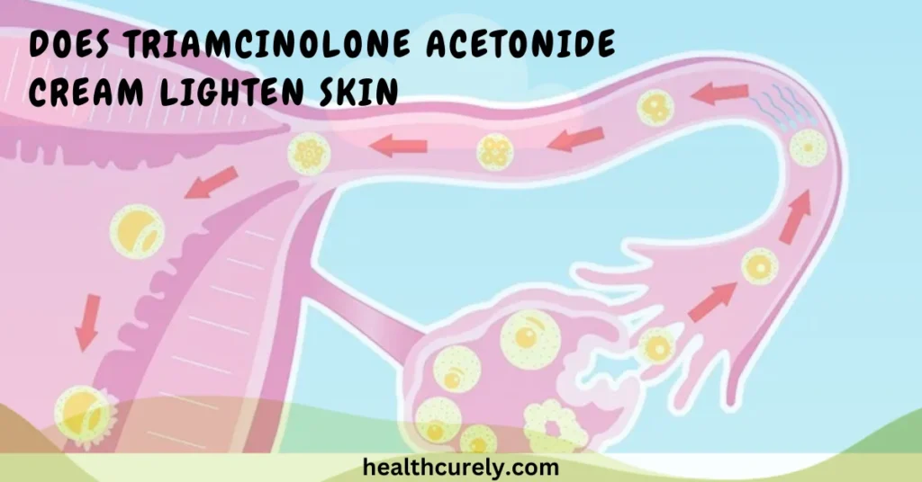 Does Progesterone Cause Weight Gain